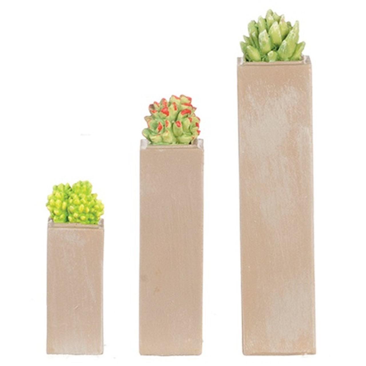 Resin Tall Square Succulents Set (HW4047)