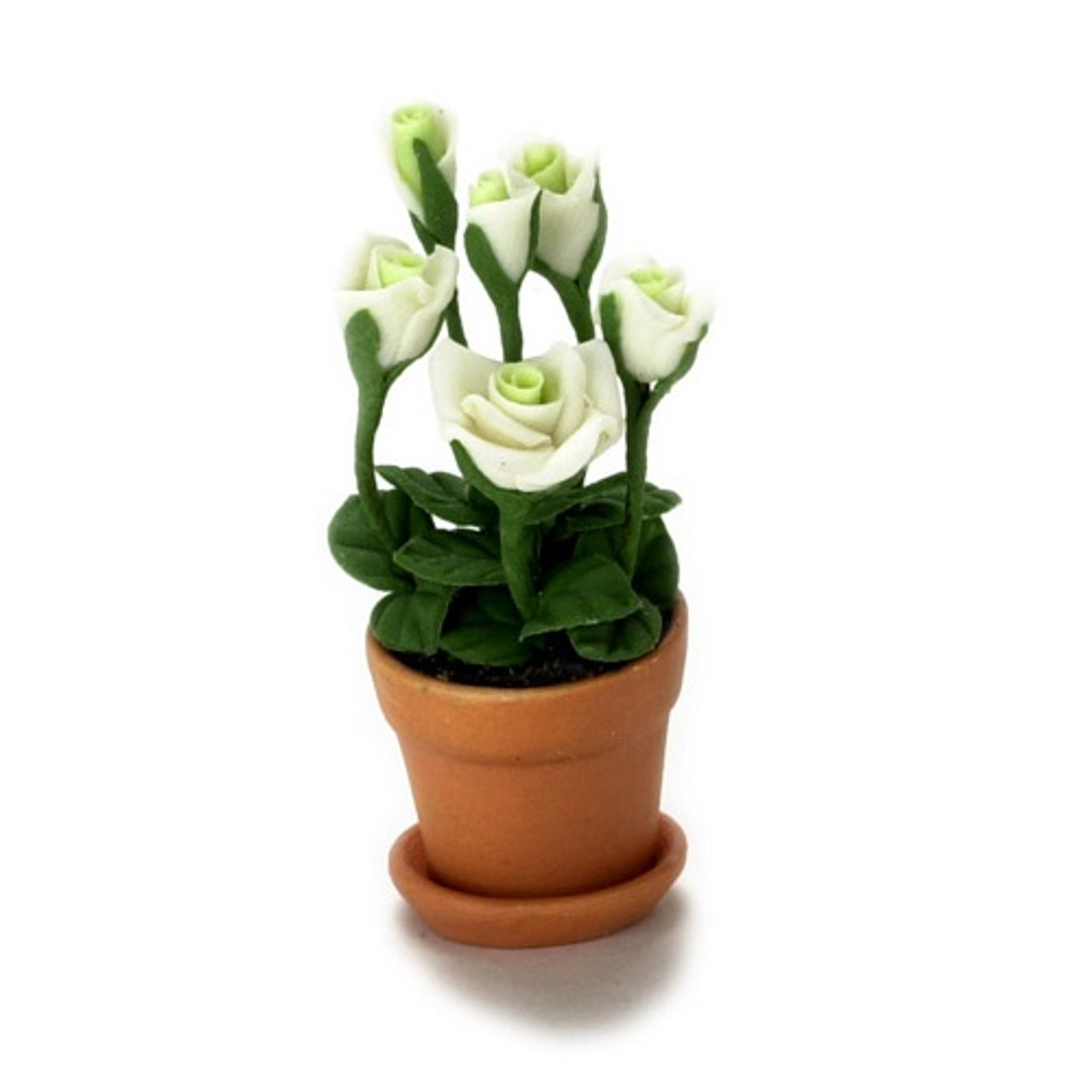 White Rose Pot (FCA1569)