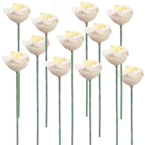 Rose Stems, White, 12 pcs (RFS01-1)