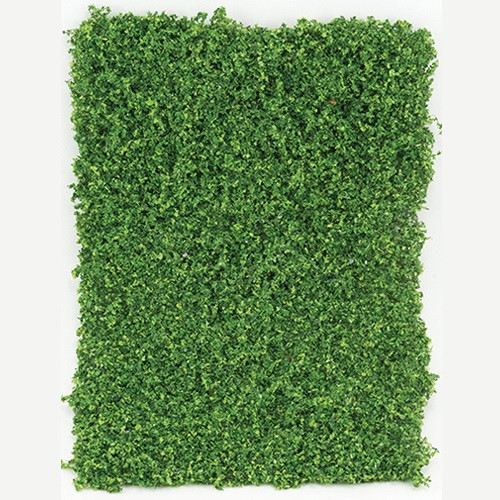 Medium Green Leaf Micro-Phlox (CA4121)