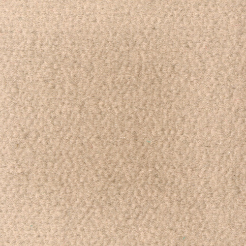 Color swatch of Latte carpet 