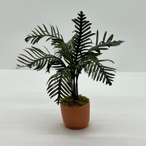 Palm in Large Contemporary Pot (UFN3016)