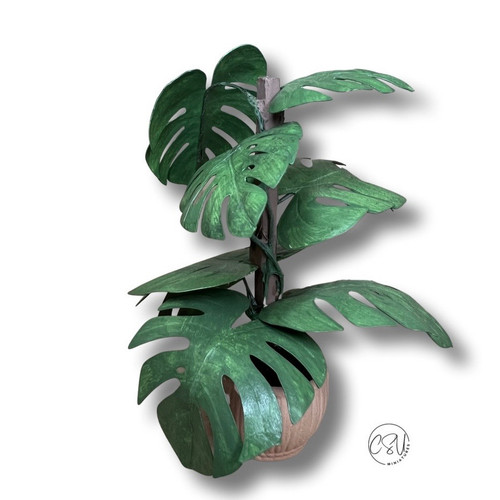 UFN3037 - Monstera Plant w/Stake Support