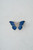 Enamel Butterfly Brooch