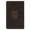 Kinh Thánh Tiếng Anh - Bản KJV - Giant Print Bible - Bìa Hồng Mão Gai- KJV326