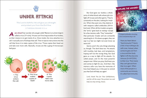 Sách Sự Kỳ Diệu Của Tạo Hóa - The Wonder of Creation - Tiếng Anh - CB-230464