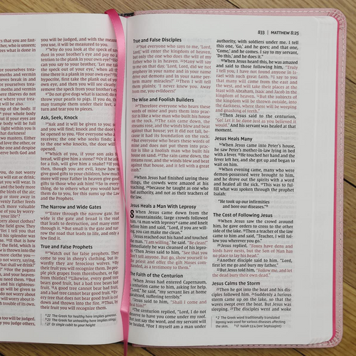 Bản NIV Bible For Kids - Bìa Hồng Bản NIV Bible For Kids - Bìa Hồng