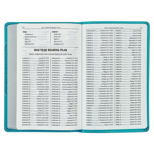 Kinh Thánh Tiếng Anh - Bản KJV Gift Edition - Bìa Xanh Bướm - KJV235