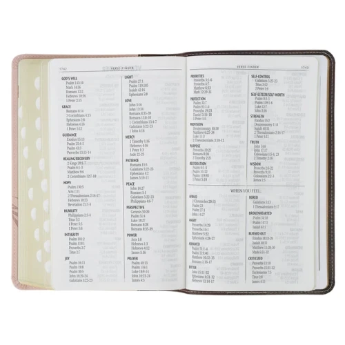 Kinh Thánh Tiếng Anh - Bản KJV - Giant Print Bible - Bìa Hồng Mão Gai- KJV326