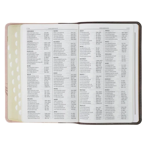Kinh Thánh Tiếng Anh - Bản KJV - Giant Print Bible - Bìa Hồng Mão Gai- KJV326