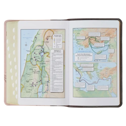 Kinh Thánh Tiếng Anh - Bản KJV - Giant Print Bible - Bìa Hồng Mão Gai- KJV326