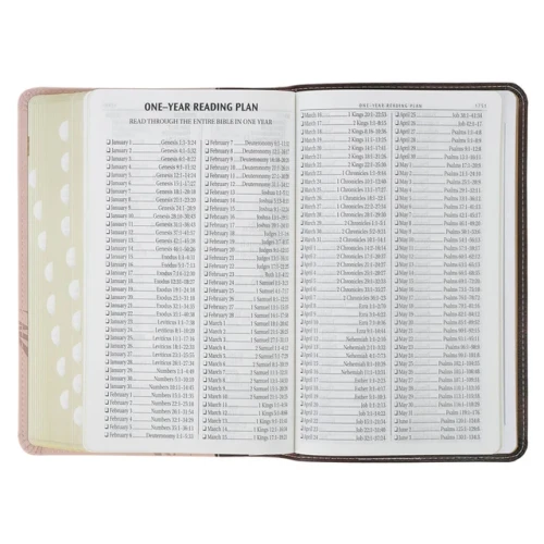 Kinh Thánh Tiếng Anh - Bản KJV - Giant Print Bible - Bìa Hồng Mão Gai- KJV326