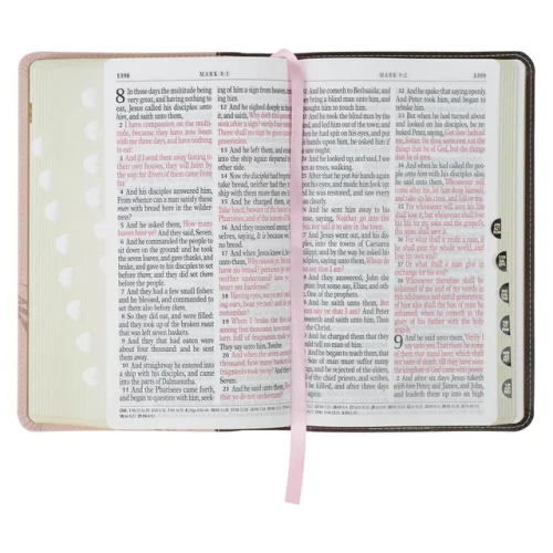 Kinh Thánh Tiếng Anh - Bản KJV - Giant Print Bible - Bìa Hồng Mão Gai- KJV326