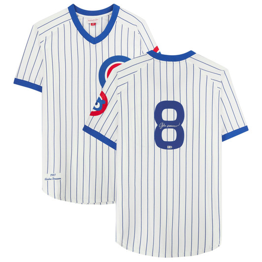 Andre Dawson Chicago Cubs Fanatics Autographed Mitchell & Ness Jersey - White