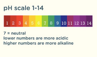 What no-one tells you about pH and Aging! 