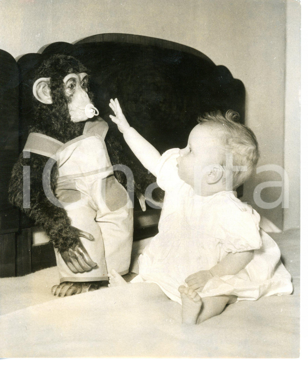 1955 BRIGHTON Jacqueline ROBSON playing with her toy chimpanzee *Photo 15x18 cm