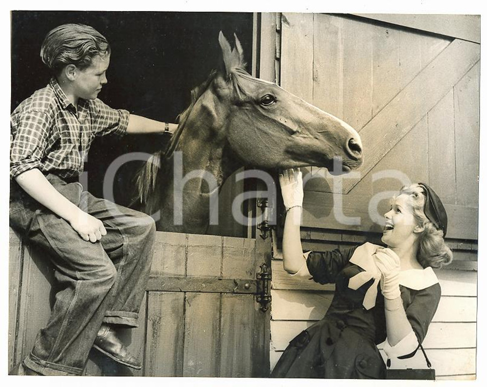 1955 SHEPPERTON STUDIOS Peggy CUMMINS Brian JAGO with racehorse GLEAMING SPUR