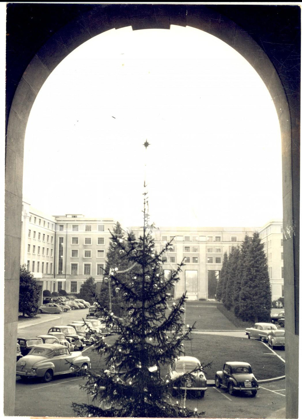 1953 GINEVRA Palazzo delle Nazioni - L'albero di Natale *Fotografia 13x18 cm