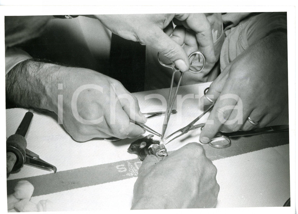 1959 TORINO Operazione chirurgica a topolino con radio transistor *Foto 18x13
