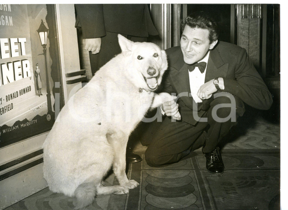 1953 LONDON Terence MORGAN con il cane RAP alla prima del film "Street Corner"