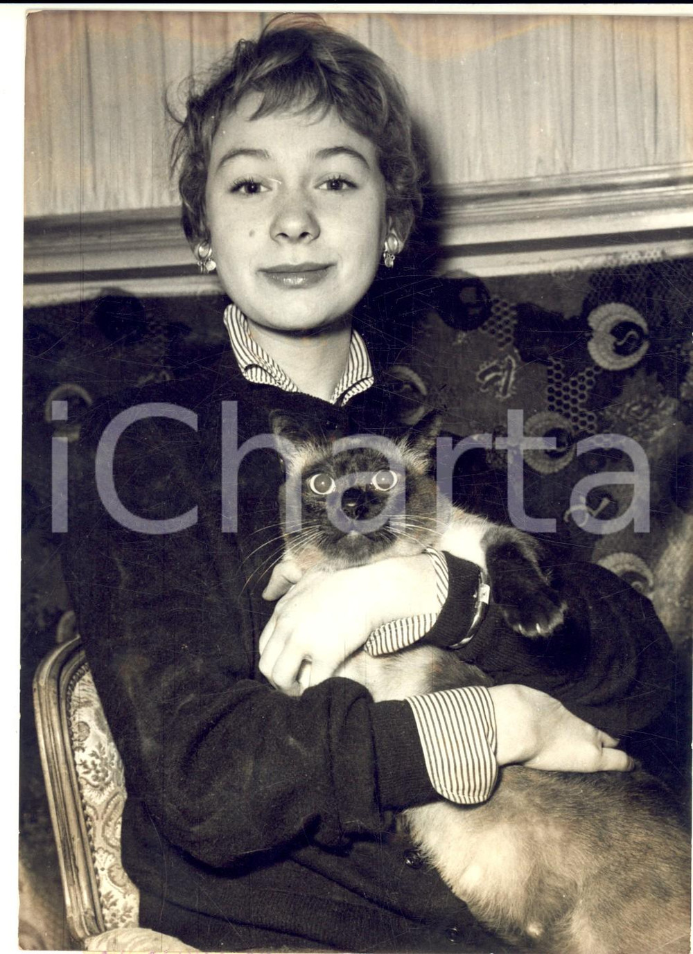 1954 PARIS Attrice Evelyne KER nella sua casa con il gatto *Foto 13x18 cm
