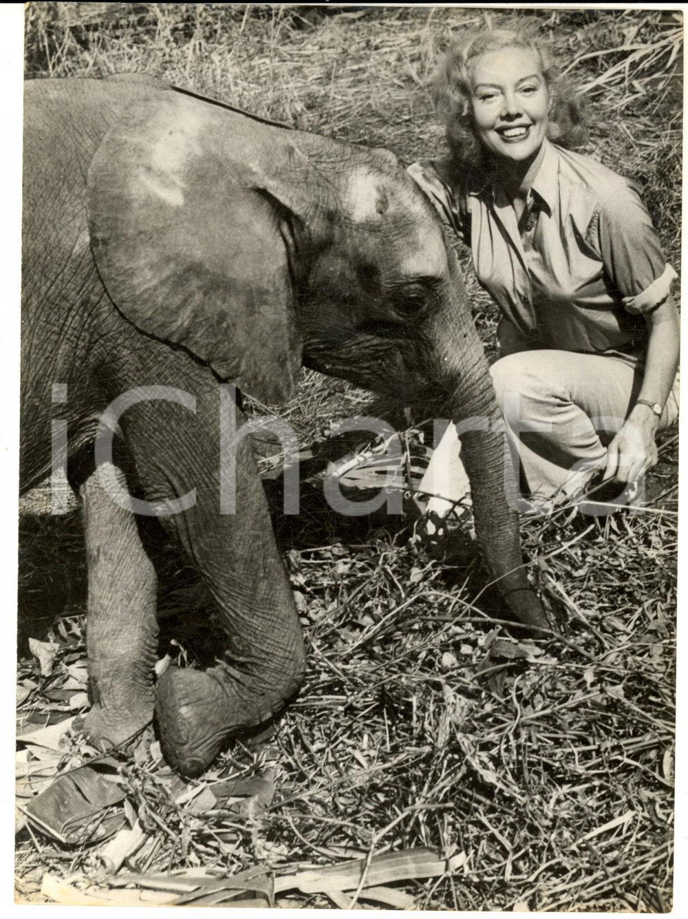 1954 LONDON Michaela DENIS with her adopted African elephant *Photo 15x20 cm