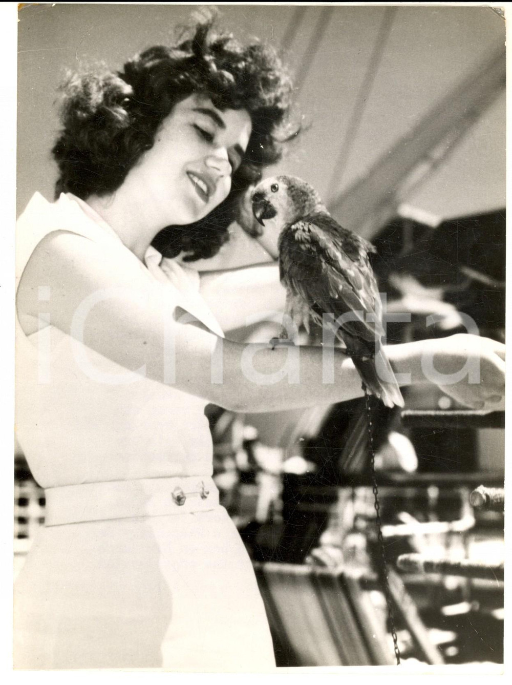 1958 ROYAL MAIL LINES Madeleine DUGGAN with parrot Pee-Wee *Photo 15x20