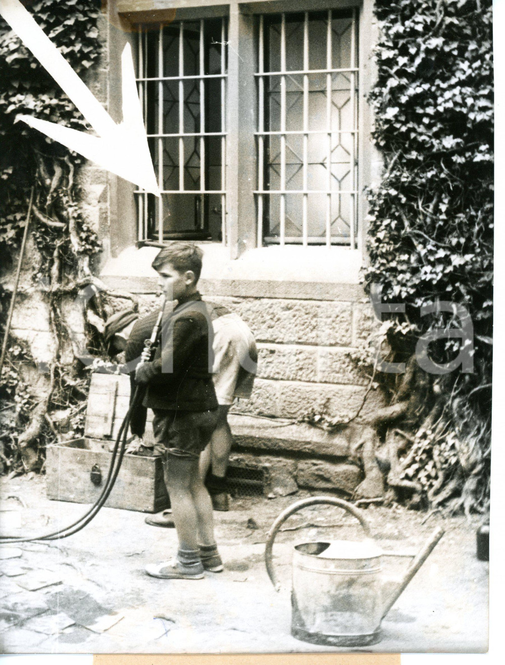 1953 HOHENZOLLERN Museum robbery - The window the thieves removed *Foto 15x20