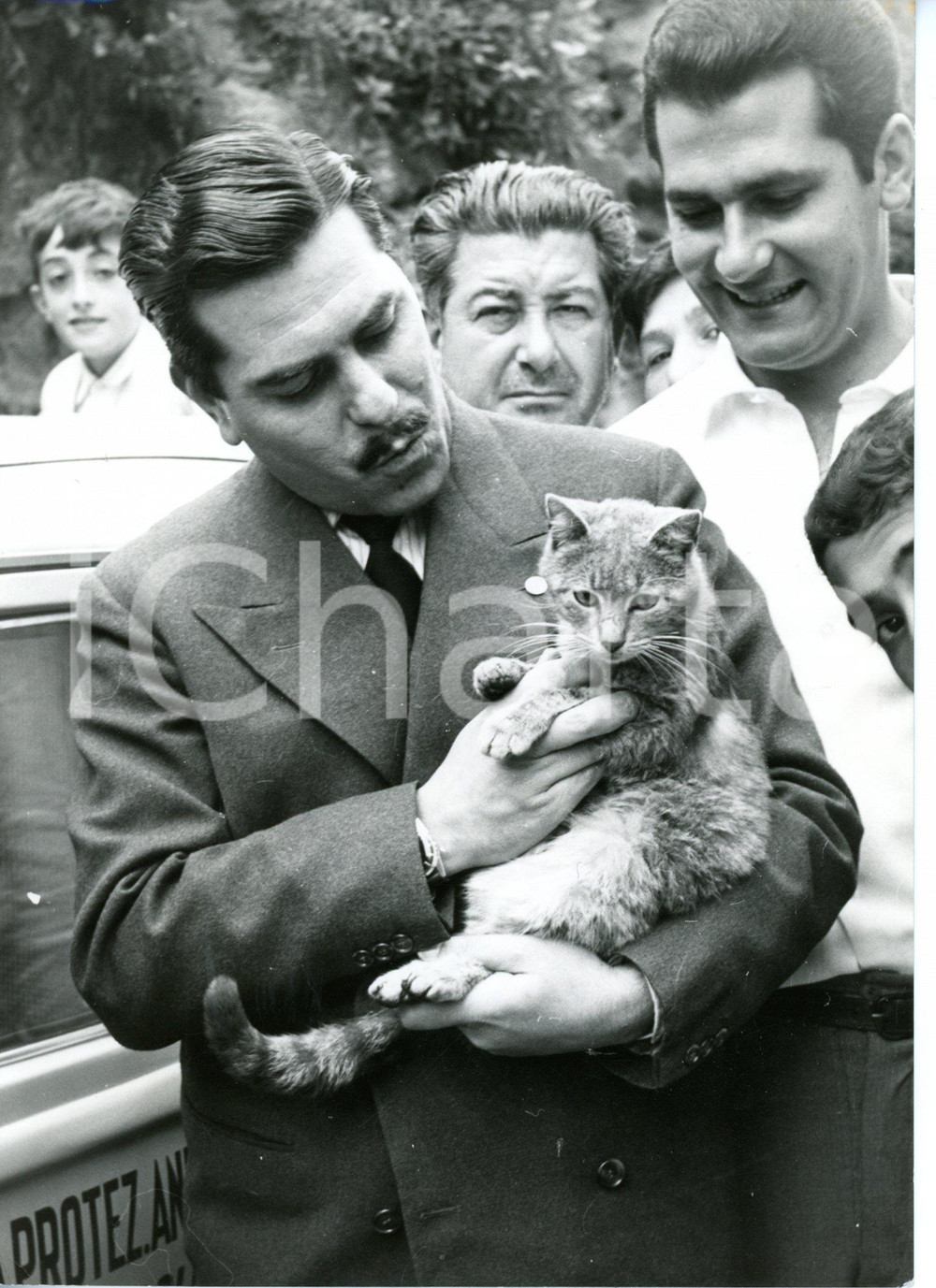 1959 NAPOLI Protezione Animali - Salvataggio del gatto Trottolino *Foto 13x18