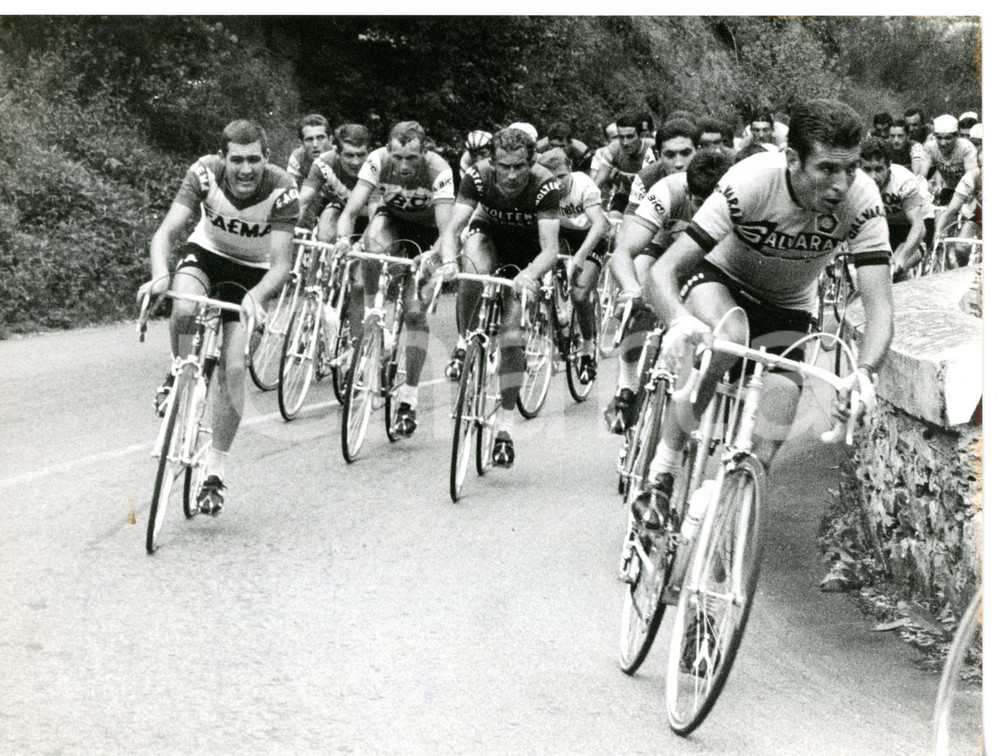 1968 SANREMO GIRO D'ITALIA - CICLISMO Felice GIMONDI in testa al gruppo *Foto