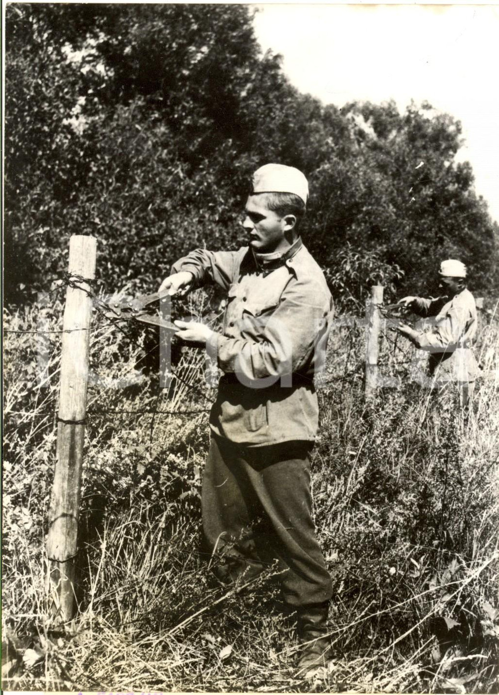 1956 RIVOLUZIONE UNGHERIA Abbattimento filo spinato alla frontiera - Foto
