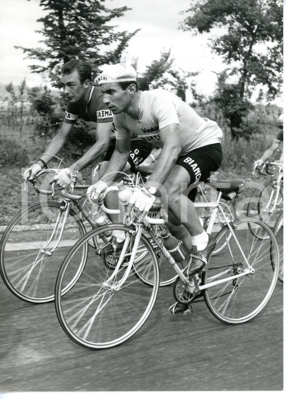 1955 ca GIRO D'ITALIA - CICLISMO Charly GAUL e Nino DEFILIPPIS durante la gara