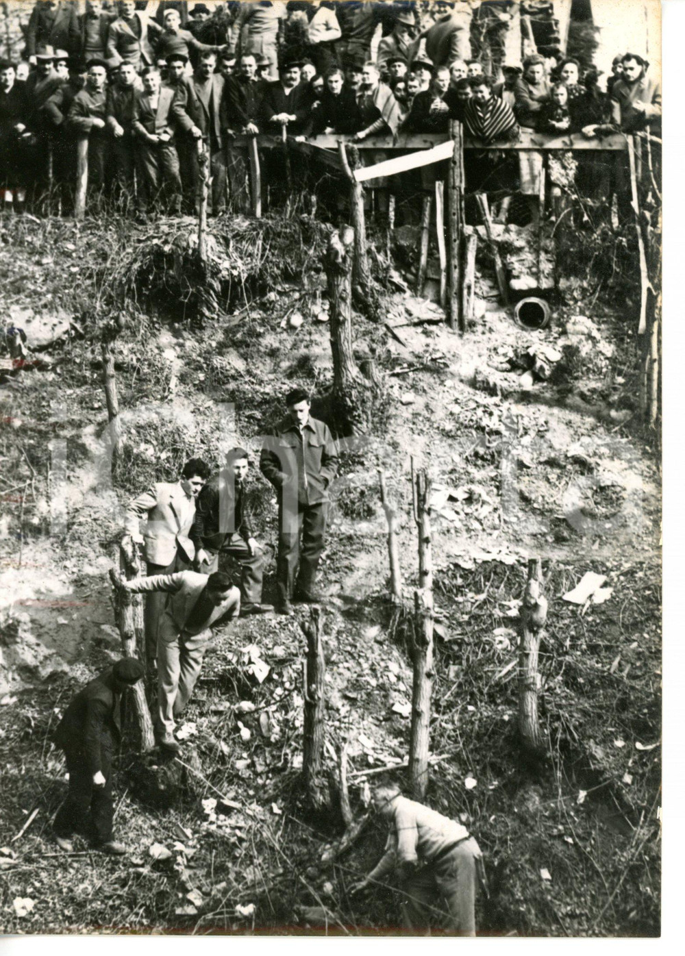 1956 MOSTRO DI PONTOGLIO Folla di curiosi durante ricerche arma del delitto FOTO