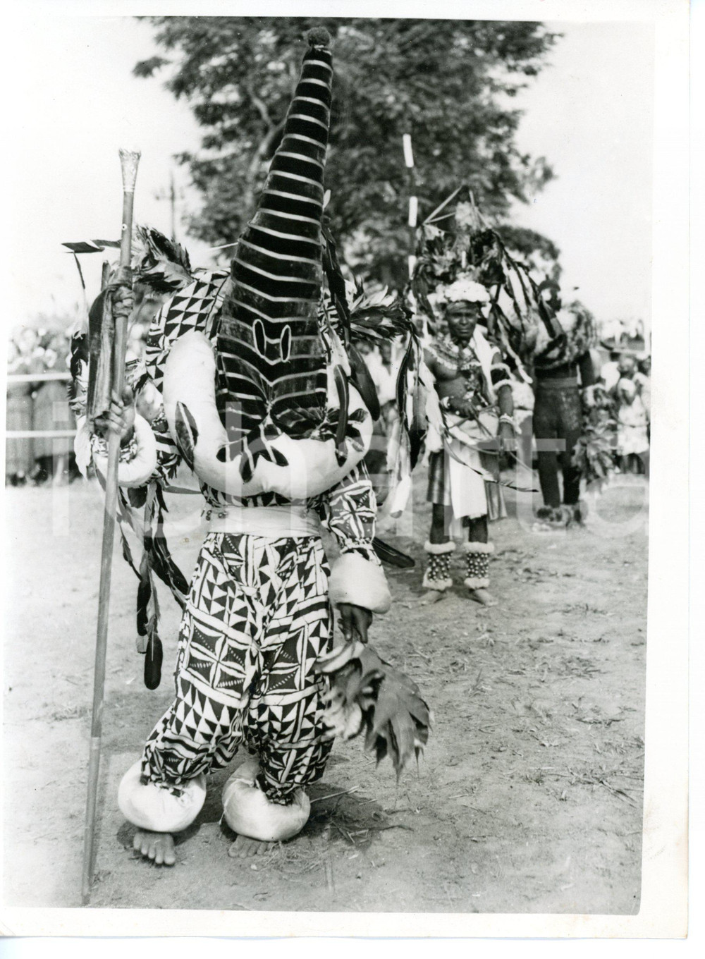 1956 NIGERIA - COSTUME Witch doctor wearing a garb *Photo 15x20 cm