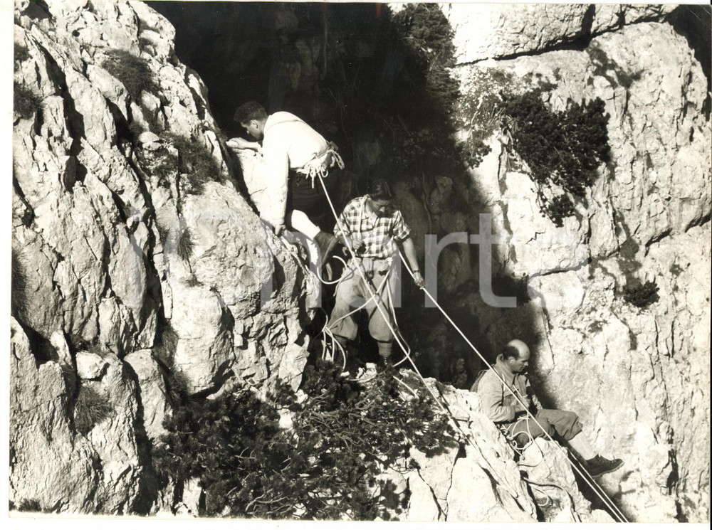 1957 VETTA PAGANELLA ALPINISMO Tenzing NORGAY - Lionel TERRAY - Cesare MAESTRI  Fotografia d'epoca con didascalia coeva, scattata in occasione del Trento Film Festival.DIMENSIONI: 24x18 cm  CONDIZIONI: FAIR (ondulatura)     originale e autentica 1
