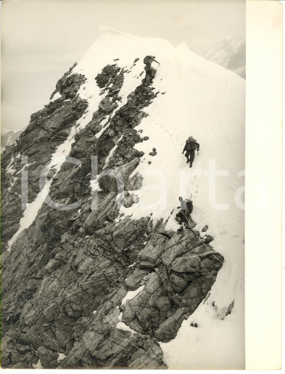 1955 ca POINTE DES PETITES MURAILLES - ALPINISMO Cordata durante l'ascensione