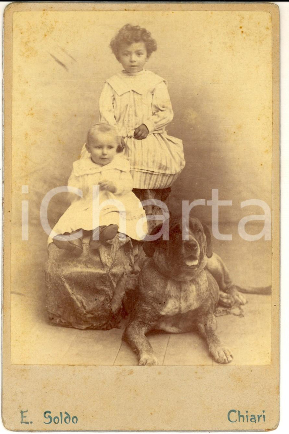 1910 ca CHIARI (BS) Ritratto di due bambine con un cane *Foto E. SOLDO RARA