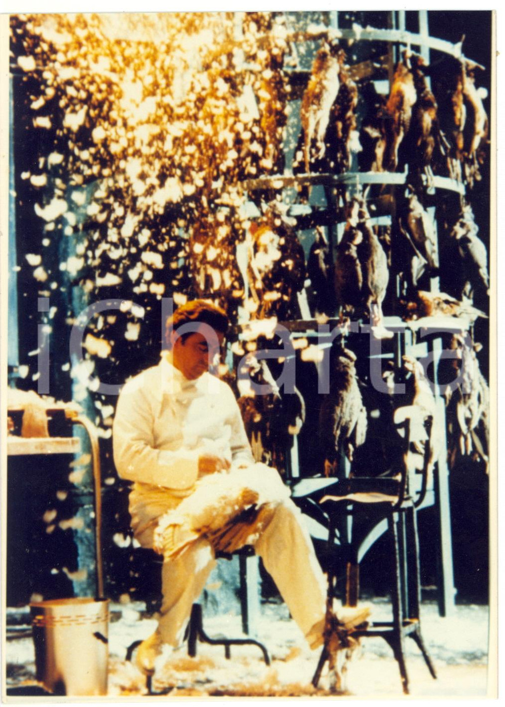 1989 CINEMA Peter GREENAWAY - The Cook, the Thief, His Wife and Her Lover  FOTO