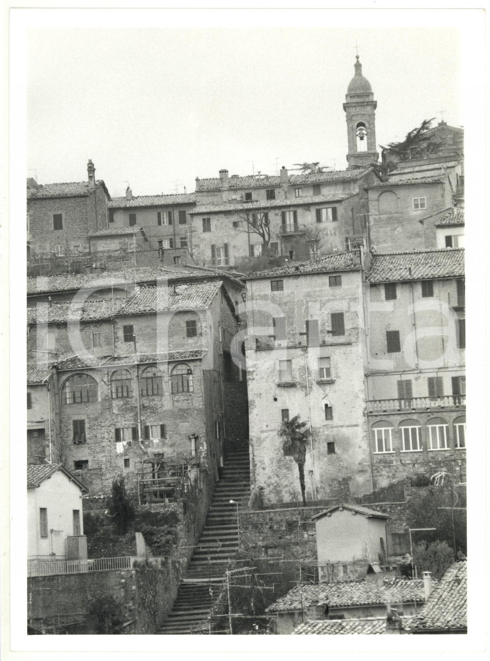1990 ca MONTALCINO (SI)  Veduta del centro storico  *Foto 18x24 cm
