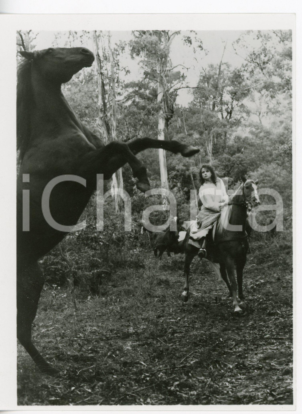 1987 THE MAN FROM SNOWY RIVER II - Singrid THORNTON a cavallo - Foto 13x17 cm