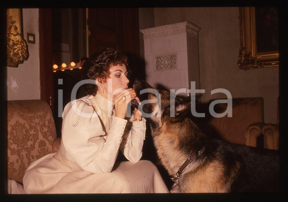 Fotografia d epoca originale 35mm vintage slide1988 La Coscienza di Zeno Eleonora BRIGLIADORI scena con cane 1