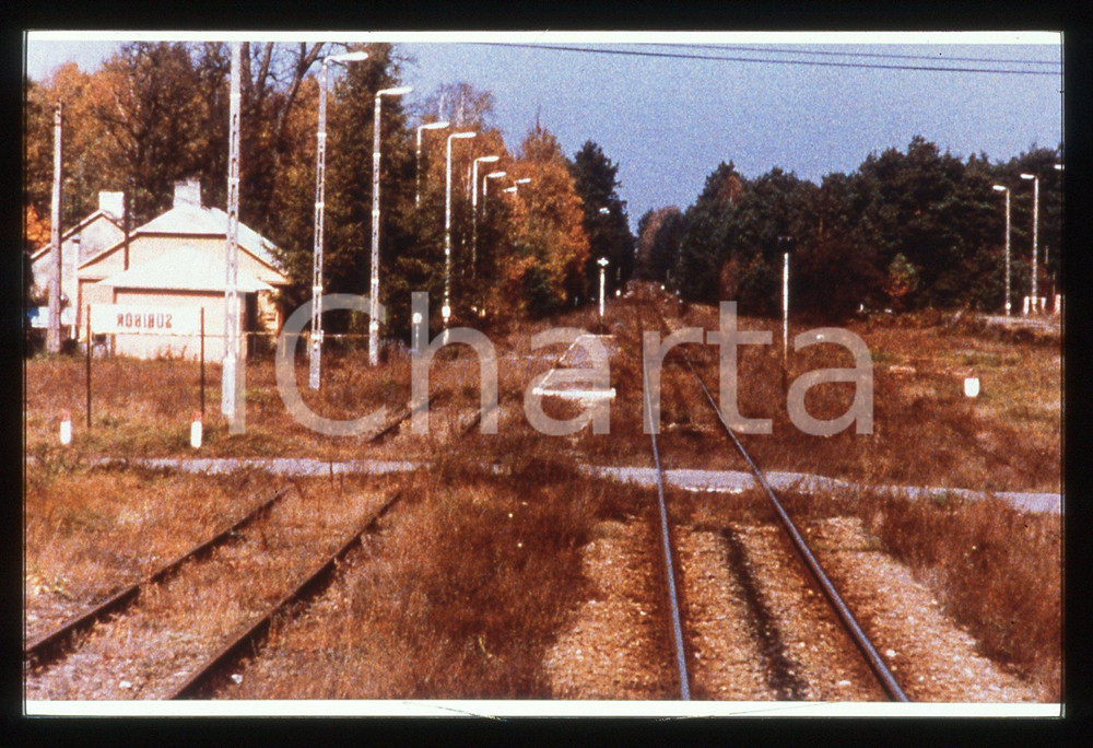 Fotografia d epoca originale 35mm vintage slide2001 SOBIBOR 14 OTTOBRE 1943, ORE 16.00 di Claude LANZMANN 1