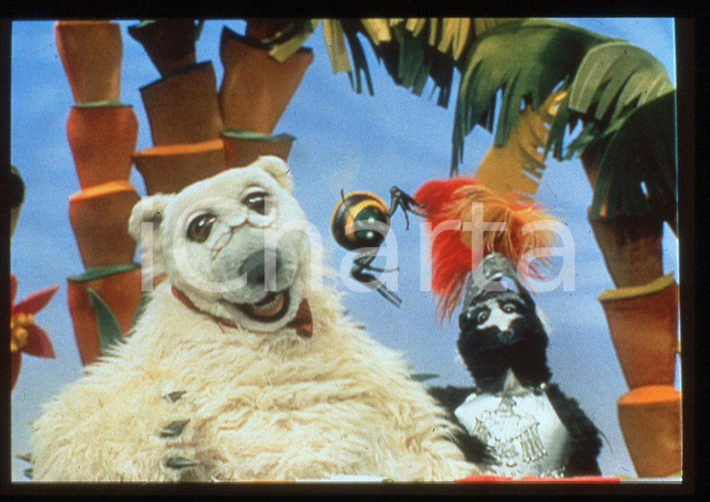 35mm vintage slide* 1994 Serie Tv ANIMAL SHOW di Jim HENSON - Jack l'orso polare