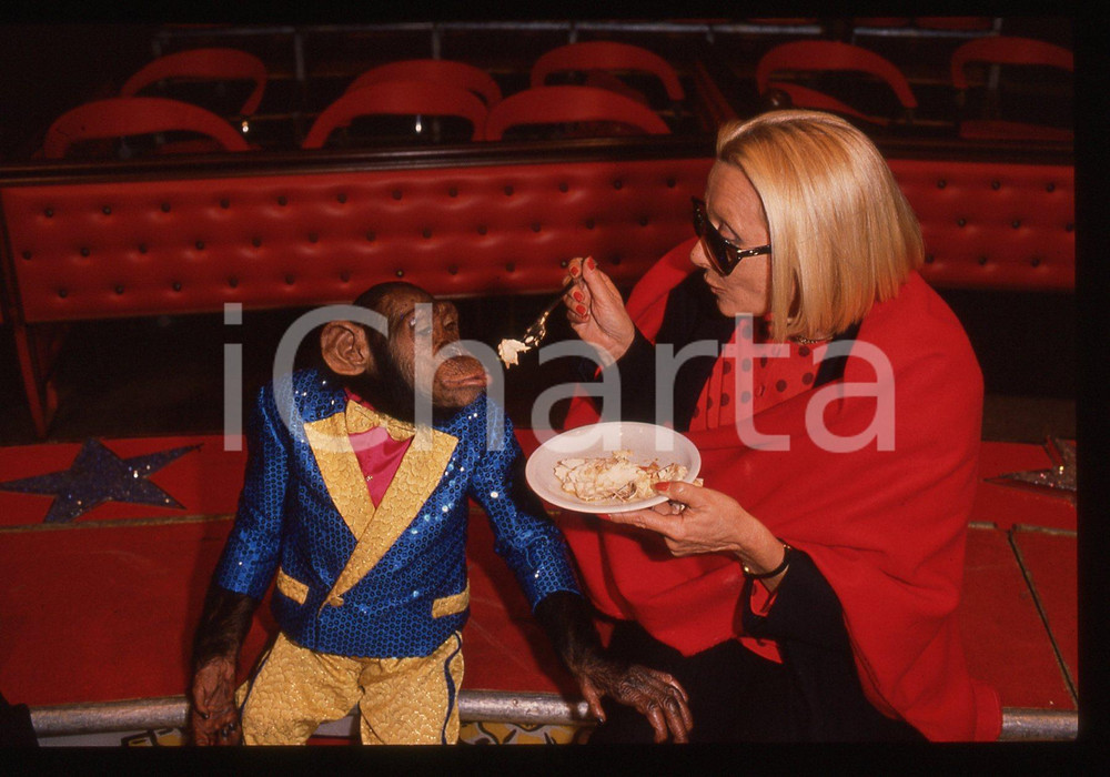 35mm vintage slide* 1989 SABATO AL CIRCO - Sandra MONDAINI con una scimmia (3)