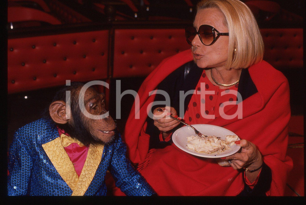35mm vintage slide* 1989 SABATO AL CIRCO - Sandra MONDAINI con una scimmia (4)