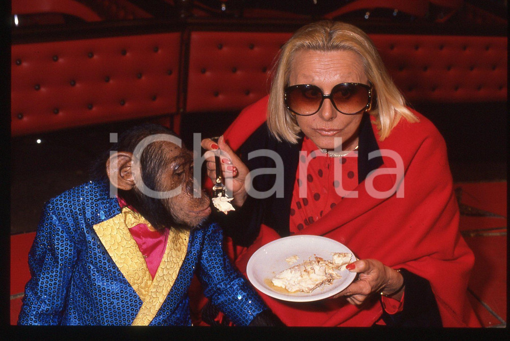 35mm vintage slide* 1989 SABATO AL CIRCO - Sandra MONDAINI con una scimmia (12)