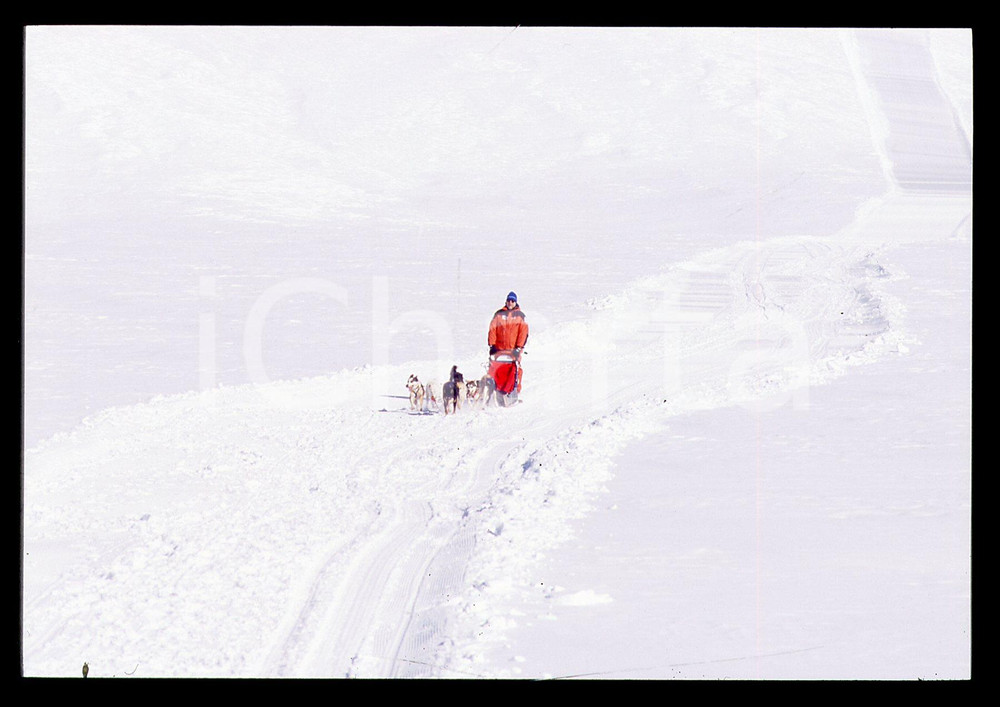 35mm vintage slide* 2001 CERVINIA Amedeo di SAVOIA Allenamento per POLO NORD (3)