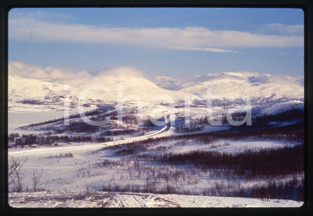 35mm vintage slide* 1996 DISAPPEARANCE OF FINBAR Regia Sue CLAYTON - Lapponia