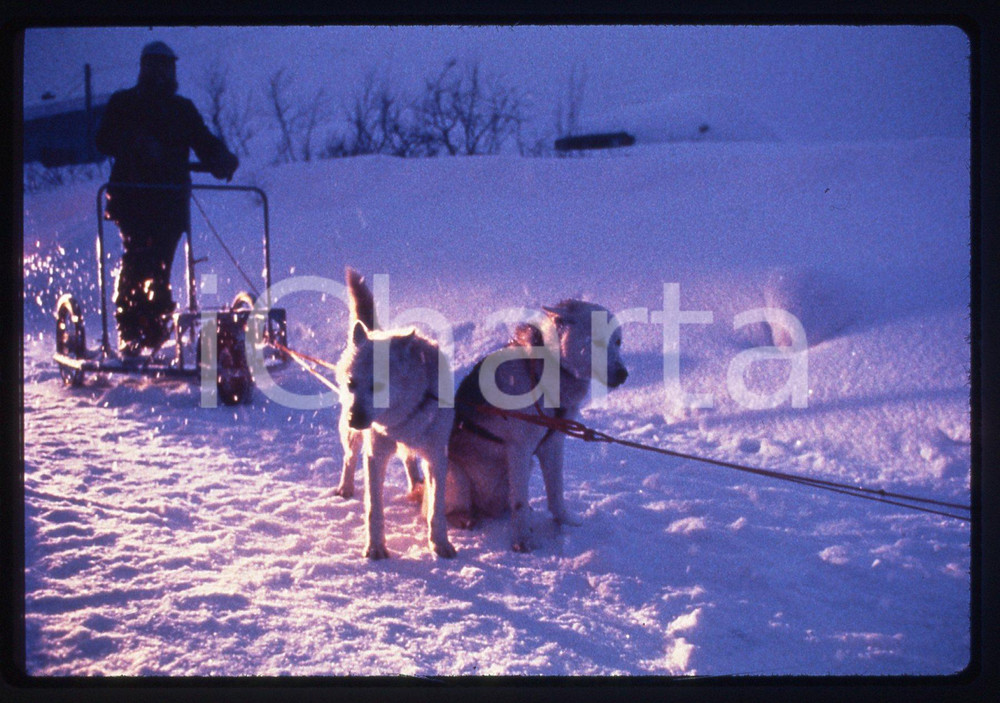 35mm vintage slide* 1996 DISAPPEARANCE OF FINBAR Regia Sue CLAYTON - Scena (2)
