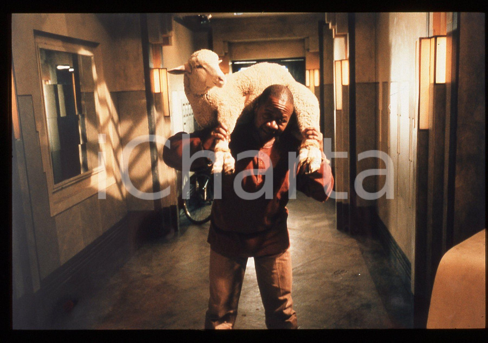 35mm vintage slide* 1997  COMBAT DE FAUVES Papa WEMBA in una scena del film